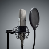 Professional Audio Industry